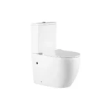 Rimless Close Coupled WC Pan