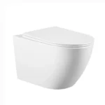 Rimless Wall Hung WC