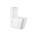 Rimless Close Coupled WC Pan
