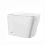 Rimless Wall Hung WC